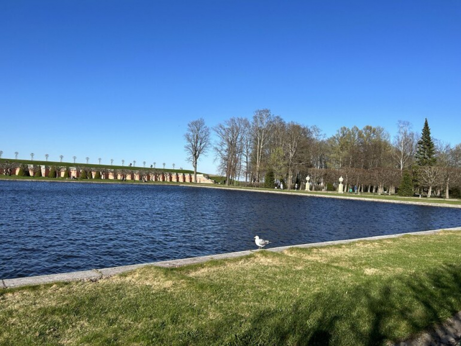В Петергофе показали ход реставрации дворца Монплезир для широкой публики