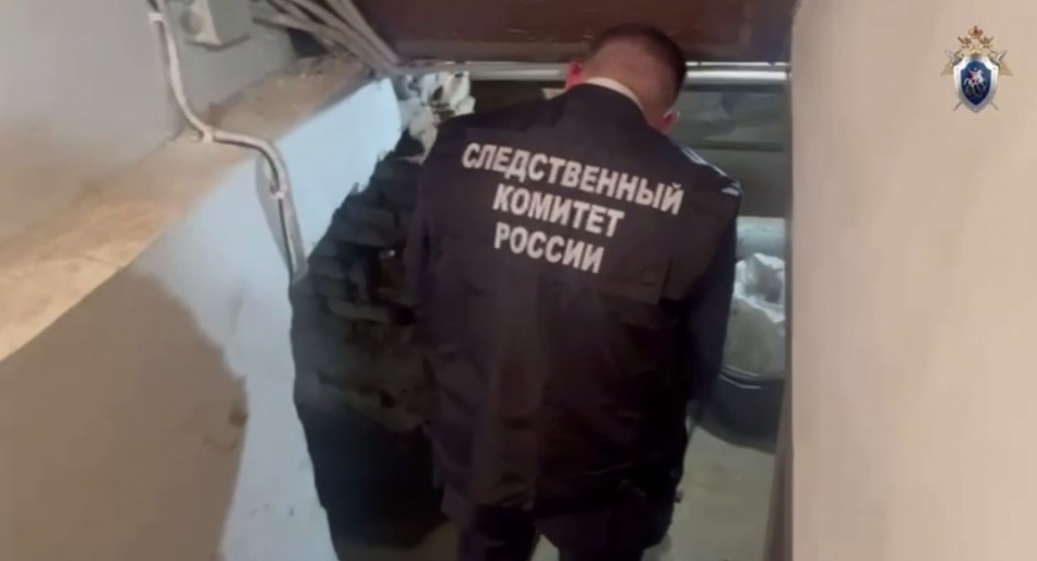 Следком остановил переделку фасада дома на Добролюбова после возмущения петербуржцев