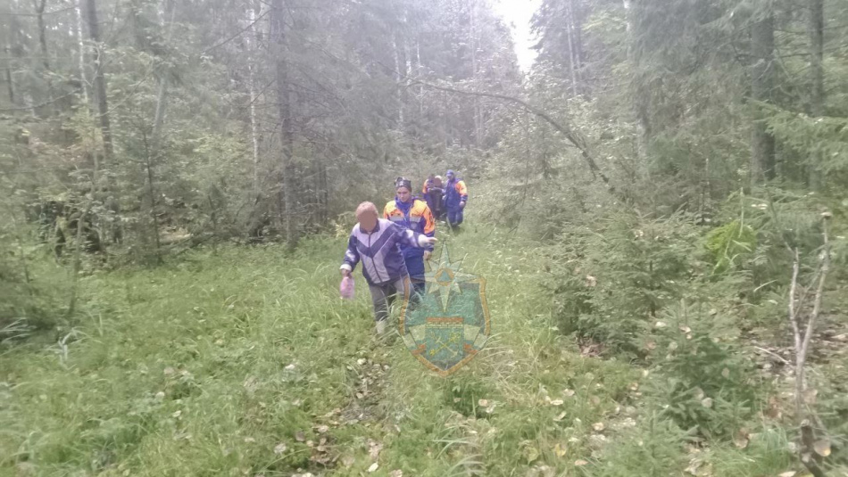 В лесах Гатчинского района спасатели вывели сразу двух заблудившихся в один день
