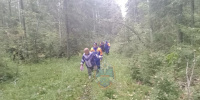 В лесах Гатчинского района спасатели вывели сразу двух заблудившихся в один день