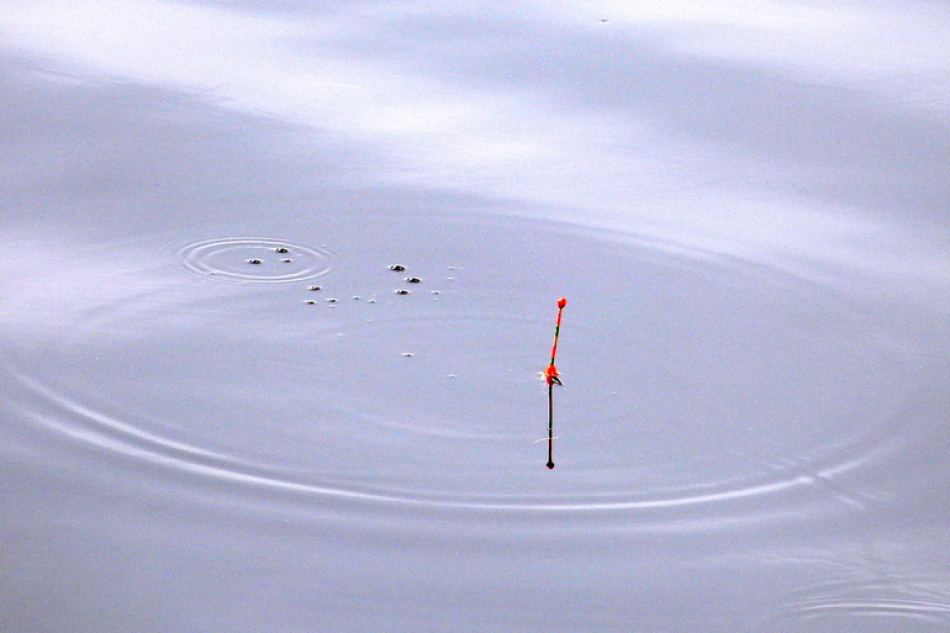 В Борисовском озере обнаружили мужчину, исчезнувшего после рыбалки