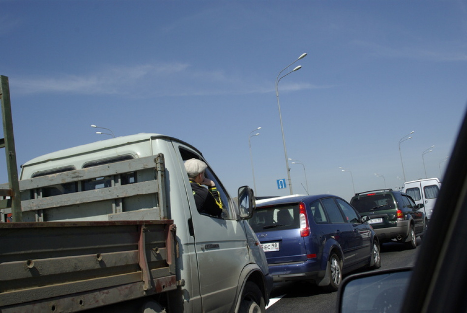 Дикий лось спровоцировал крупную пробку на трассе под Петербургом