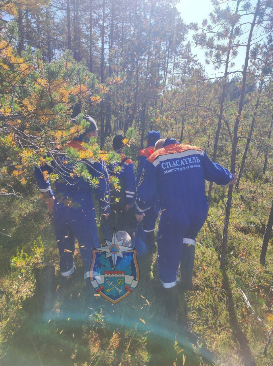 В лесу под Никольским спасатели эвакуировали на носилках почувствовавшего себя плохо мужчину