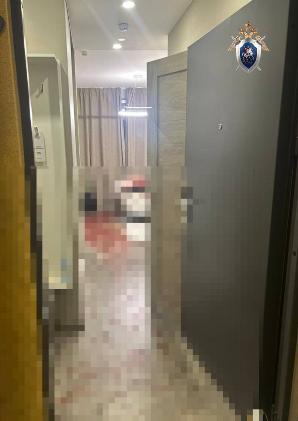 Уголовное дело возбудили после убийства 15-летней девушки в отеле Петербурга