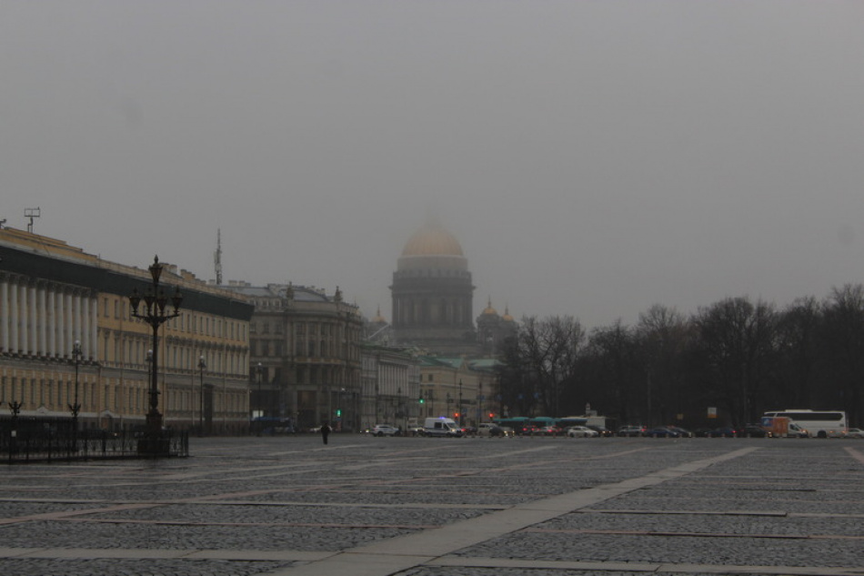 Российское биотопливо для авиации поможет снизить выбросы парниковых газов
