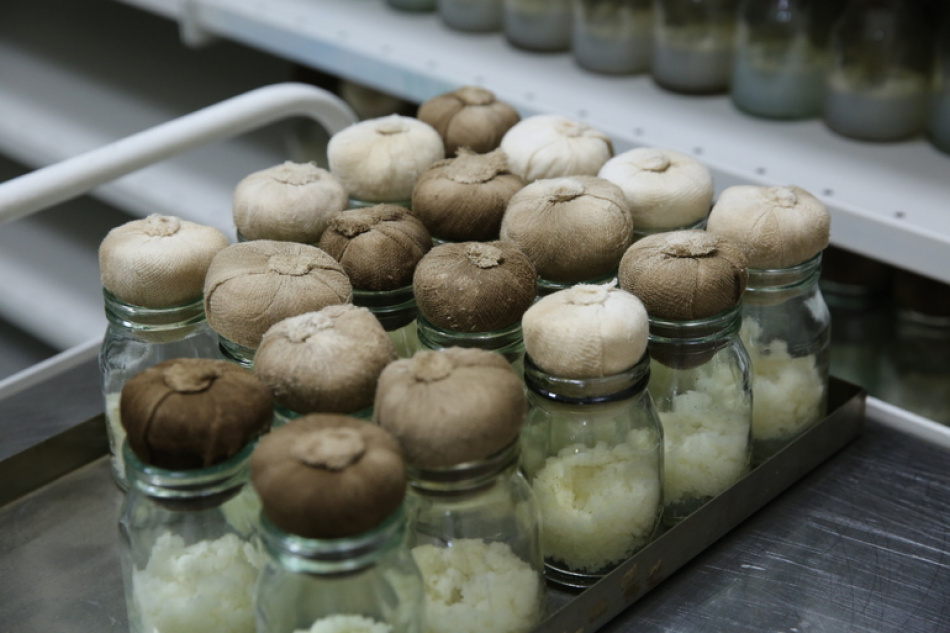 Какие косметологические процедуры выбрать для кожи осенью по мнению эксперта