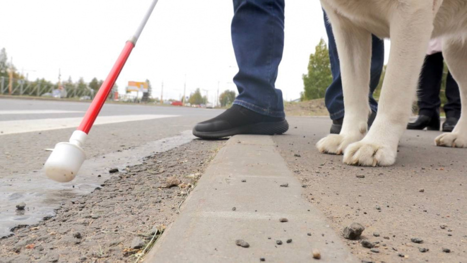 Прокуратура обязала сделать безопасным переход на Муринской дороге для незрячих петербуржцев