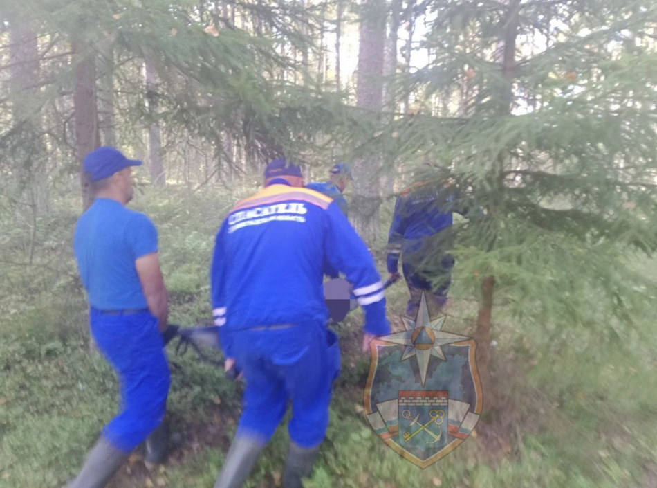 Под Приозерском в лесу у озера Круглое спасатели обнаружили тело мужчины