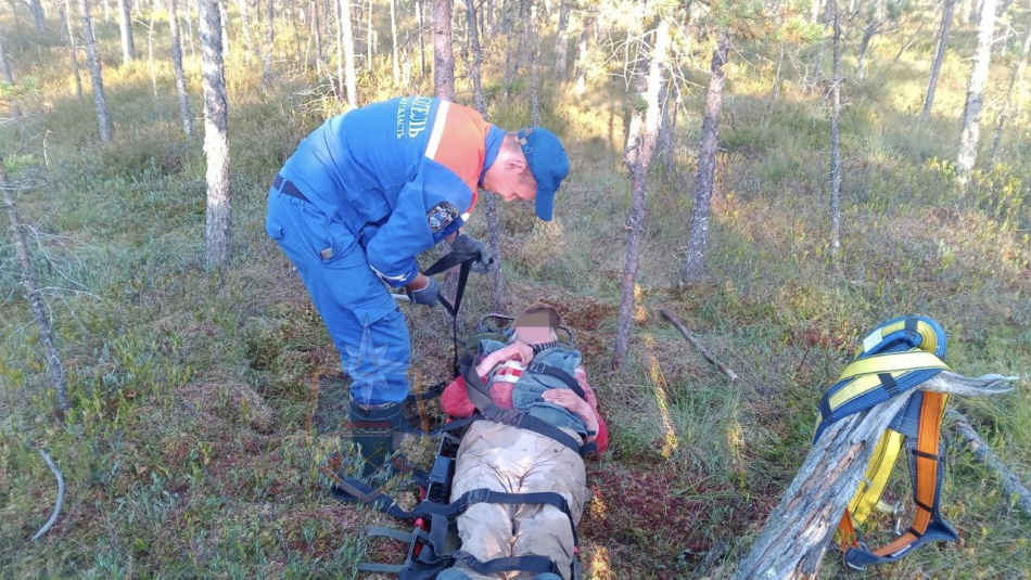 В Ленобласти спасатели и добровольцы вывели заблудившуюся в болотах пенсионерку