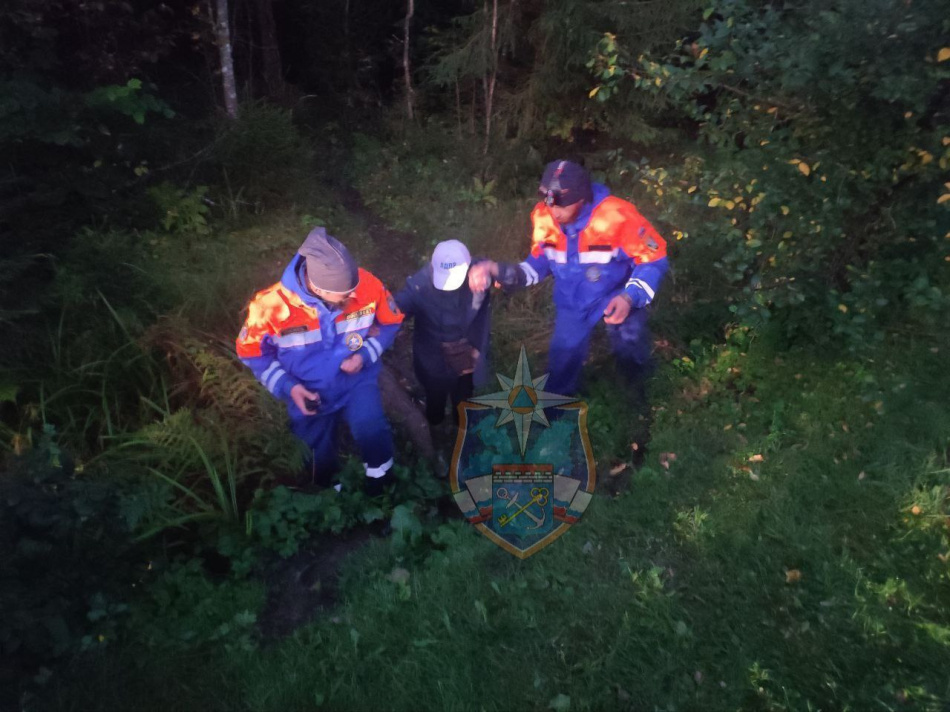 В Лужском районе спасатели и добровольцы всю ночь искали заблудившуюся в лесу пенсионерку