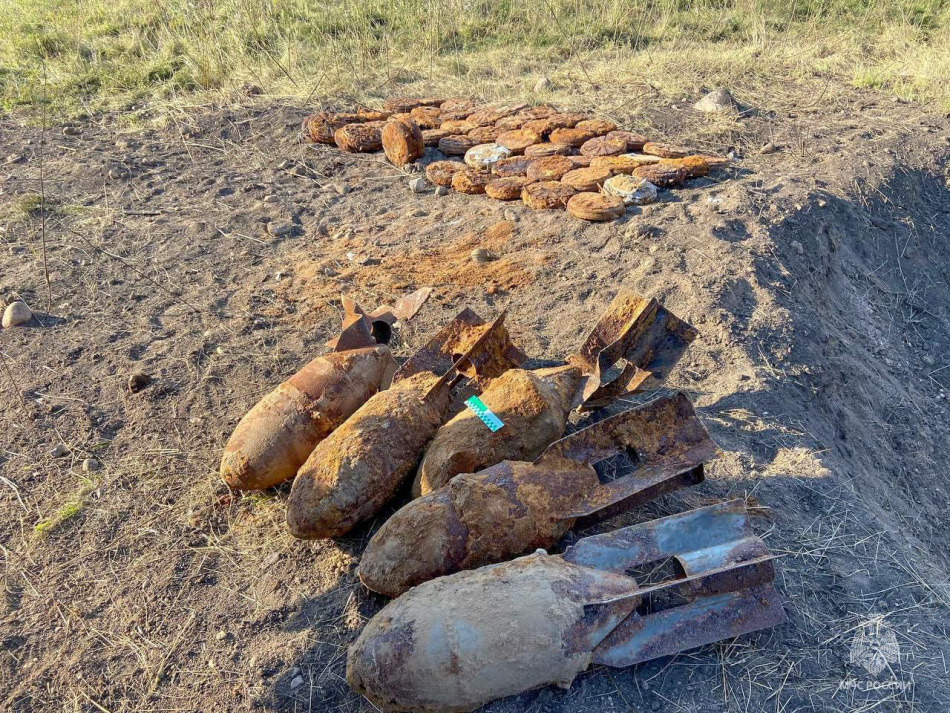 В Тосненском районе ликвидировали опасные находки времен войны