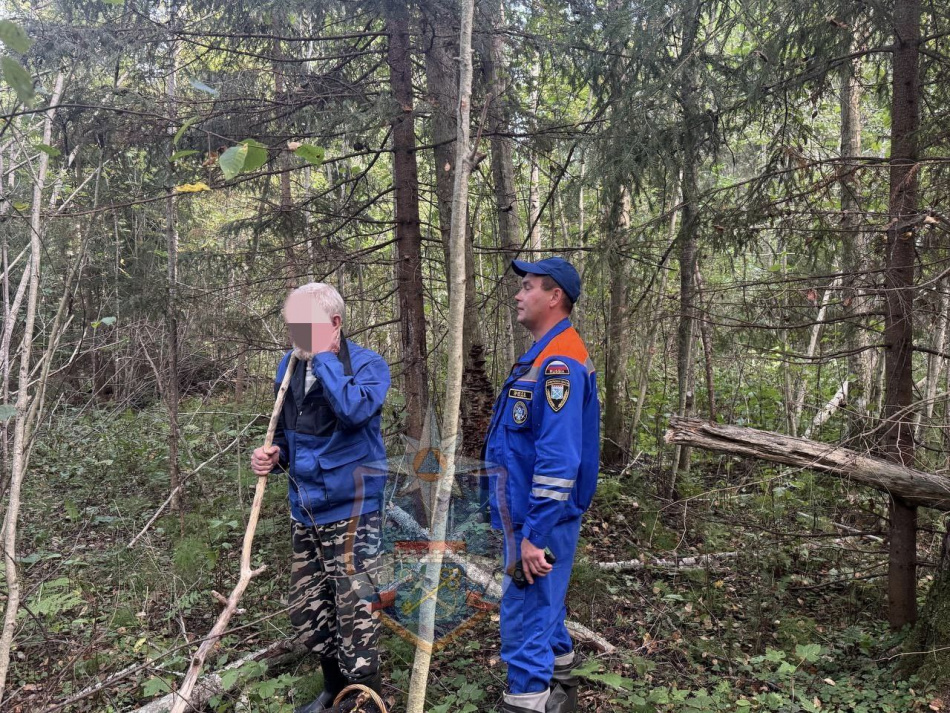 Пропавший в лесу под Волховом мужчина найден живым 
