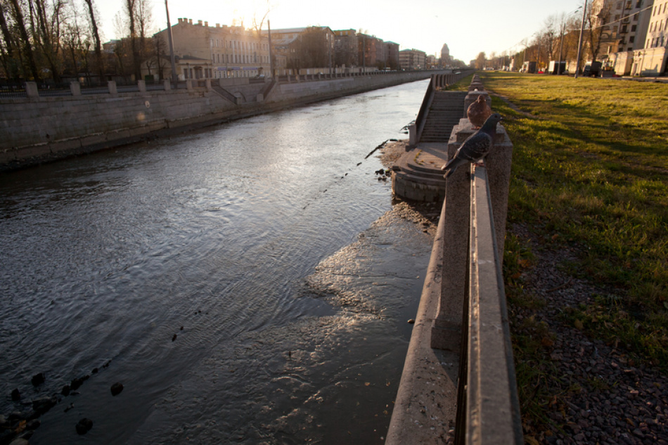 Необычный дом на колесах появился у Обводного канала в Петербурге