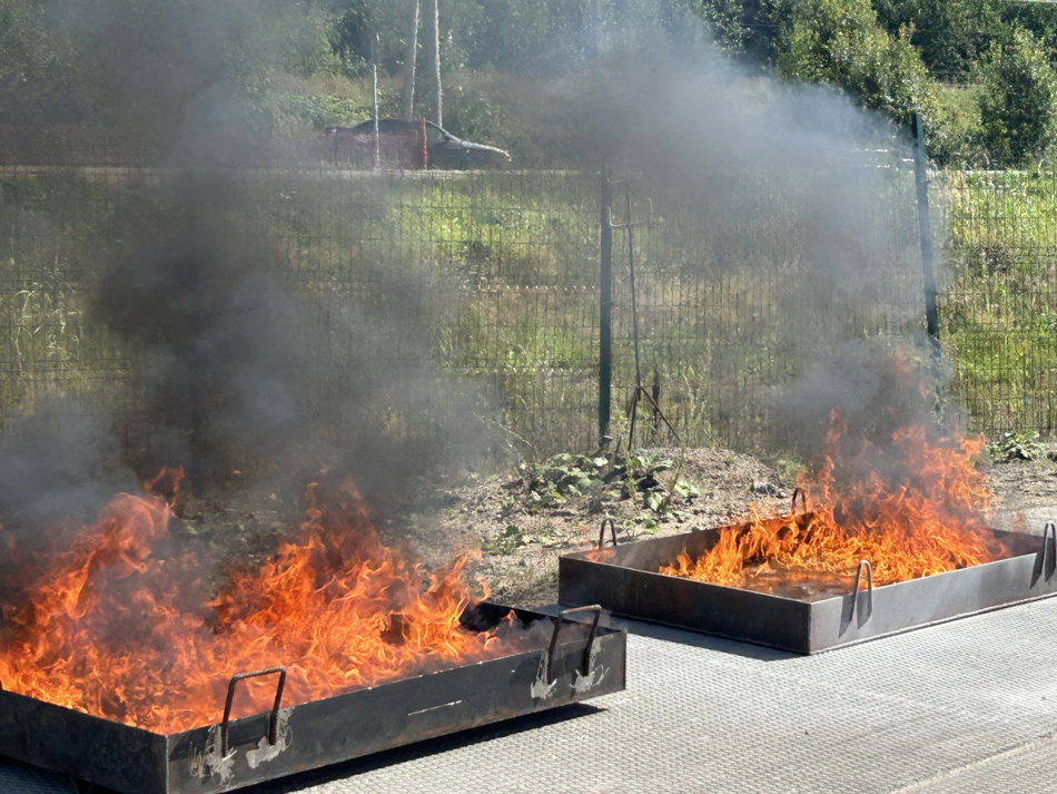 В Петергофе спасатели оперативно потушили возгорание мусора на электроподстанции