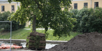 В трех районах Петербурга стартуют онлайн обсуждения новых градостроительных проектов