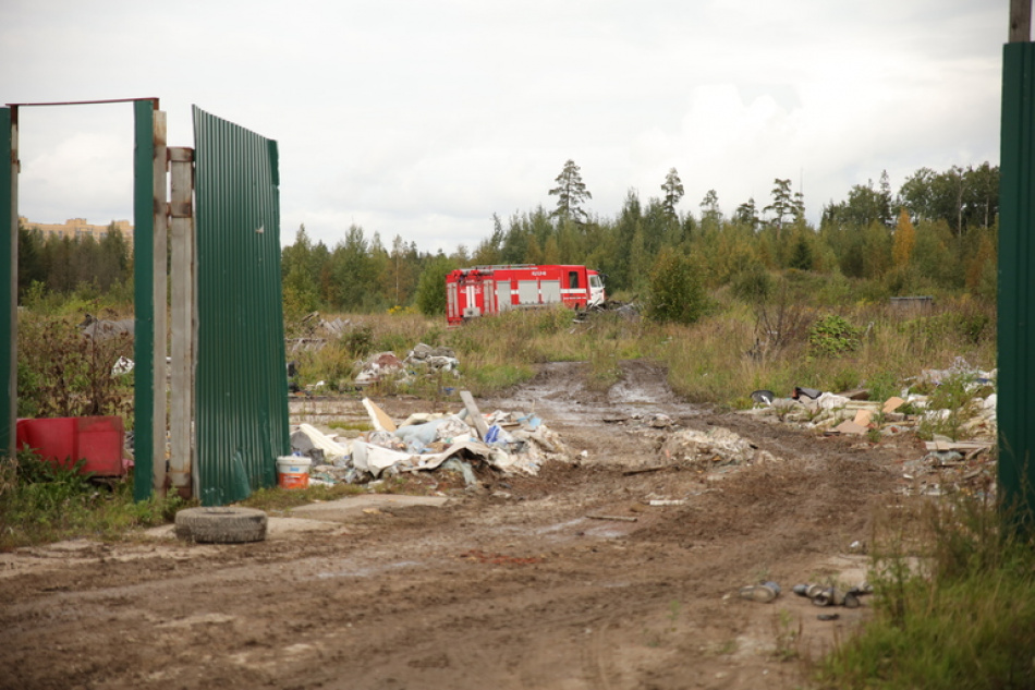 В Петербурге за месяц очистили 70 тысяч квадратных метров от мусора