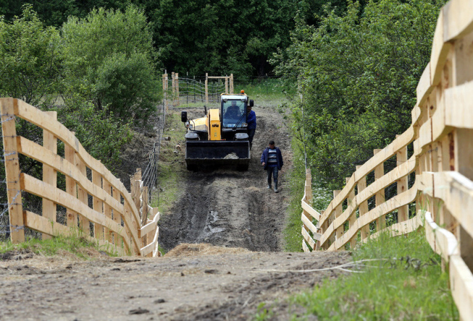 В Петербурге агроклассы выходят за пределы региона в 2025 году