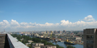 В Петербурге остановили крупную партию арахиса из-за опасного насекомого