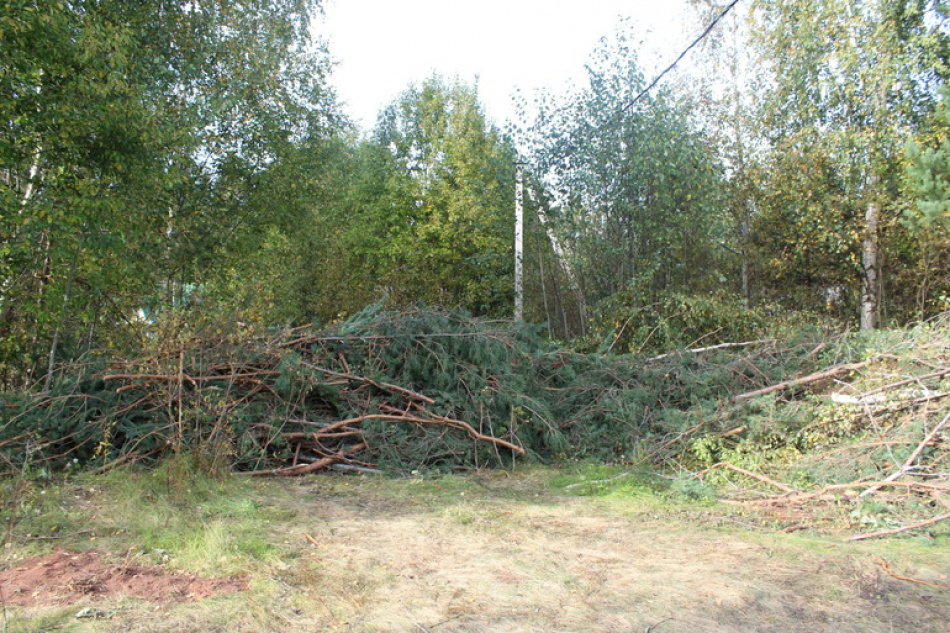 В Колпино обнаружили останки боевого самолета времен ВОВ