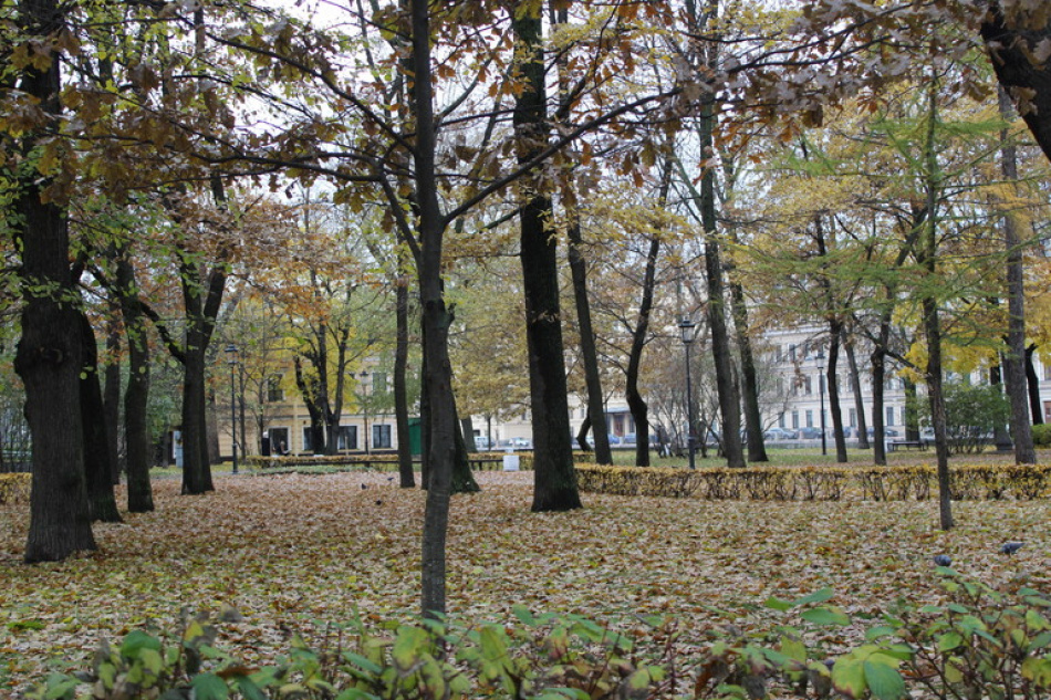В сквере на Октябрьской набережной напали на двух молодых людей