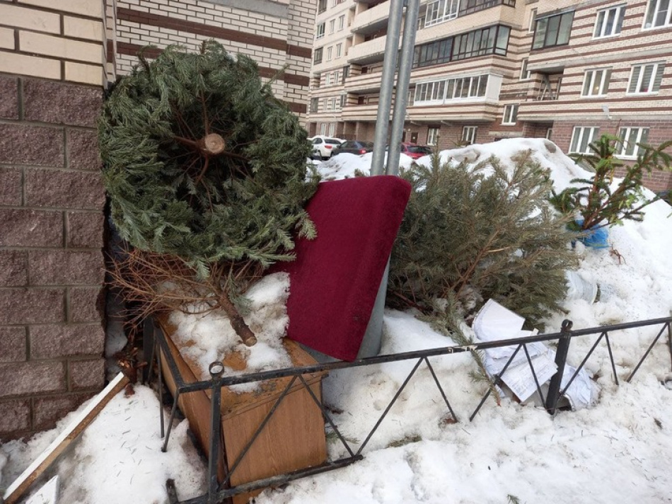 Жителям Ленобласти рассказали, как правильно избавиться от старого дивана и не получить штраф