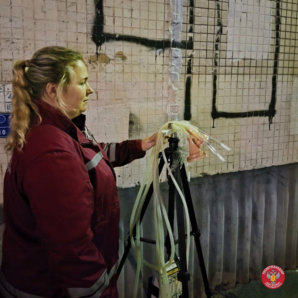 Пожар в автосервисе Шушар не повлиял на качество воздуха