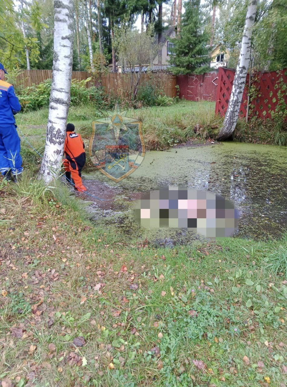 В Приозерском районе из пожарного водоема извлекли тело неизвестного мужчины