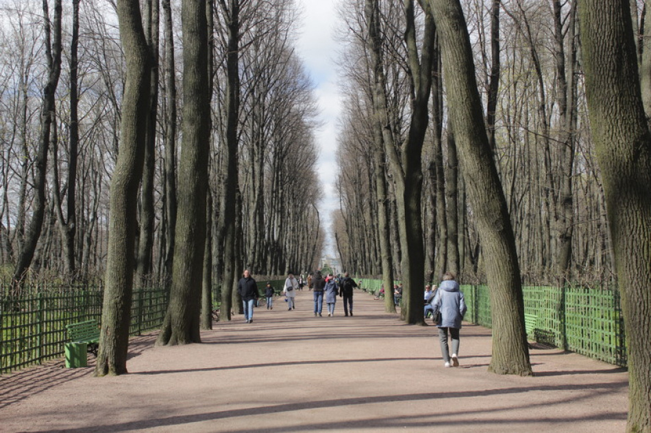 В Санкт-Петербурге закрыли парки из-за неблагоприятной погоды