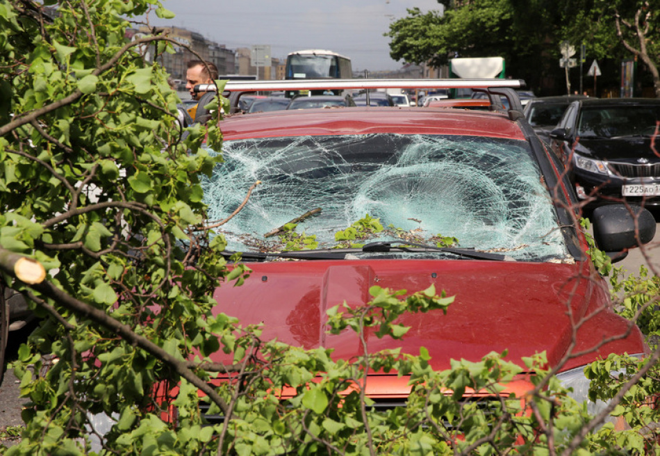 Буря в Петербурге вызвала десятки аварий и повреждений