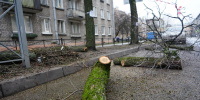 В Приозерском районе спасатели расчистили лесную дорогу от завалов из упавших деревьев