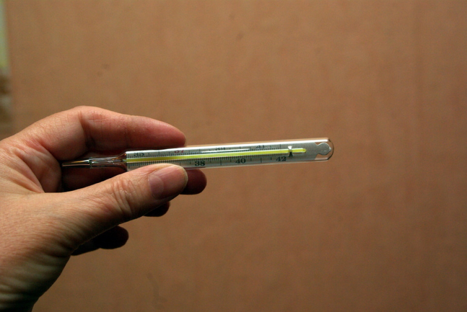 Роспотребнадзор рассказал петербуржцам, как снизить риск ОРВИ осенью