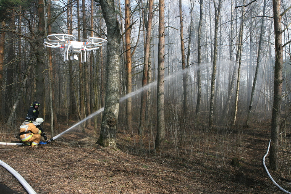 В Петербурге внедрили ИИ для воздушного контроля лесных пожаров