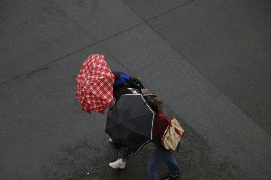 Петербуржцам рассказали, как ухаживать за зонтом в дождливом Петербурге и Ленобласти