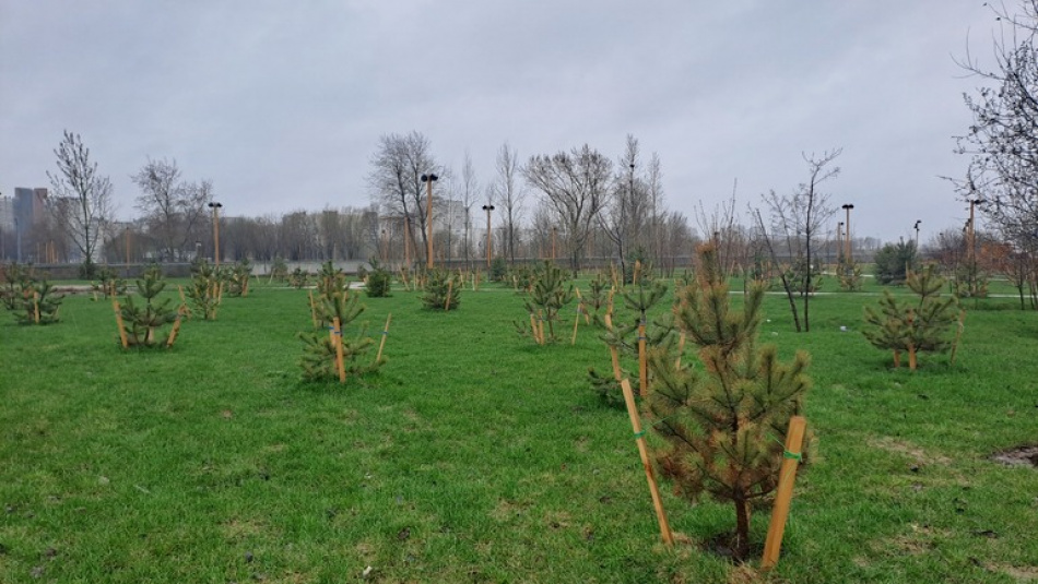 В Шушарах стартовало создание крупного индустриального парка на 83 гектарах