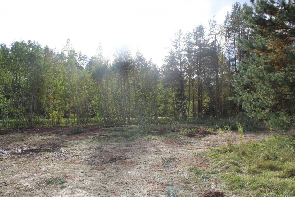 В России создали ИИ для анализа лесов по данным с дронов