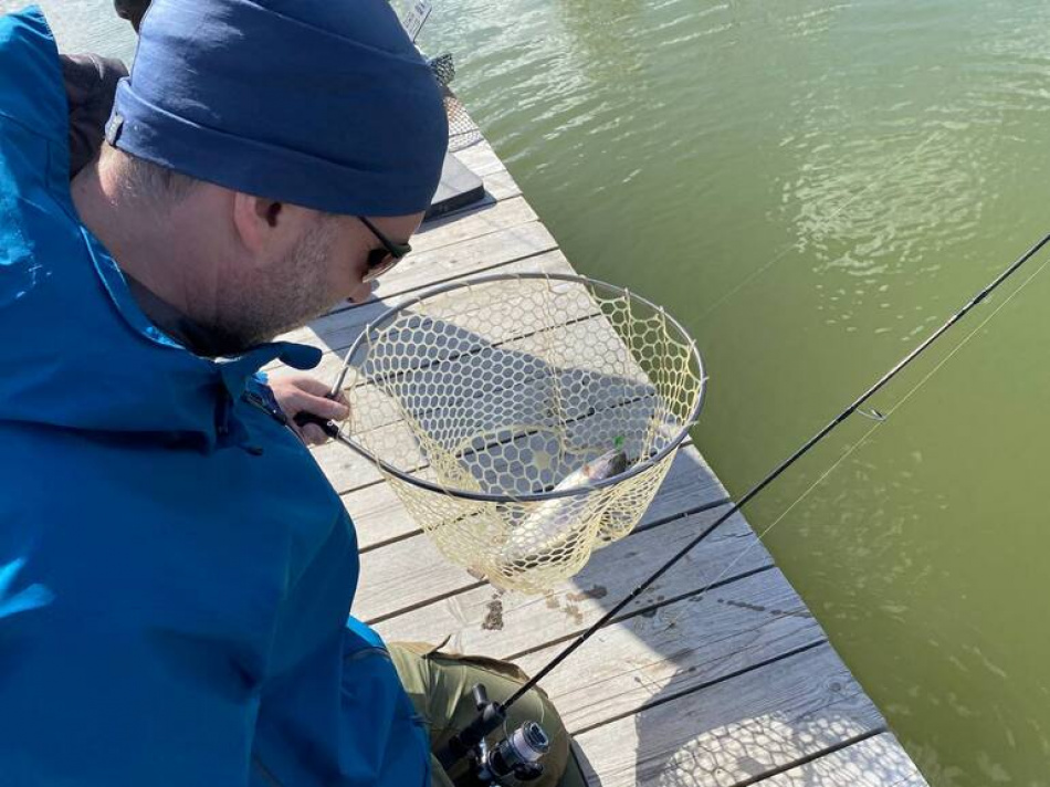 В Карелии из-за проблемы с форелью начались споры