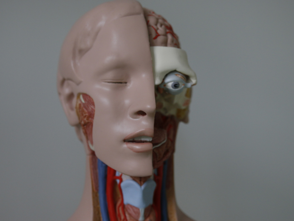 В Музее гигиены Петербурга проведут бесплатные экскурсии для старшего поколения