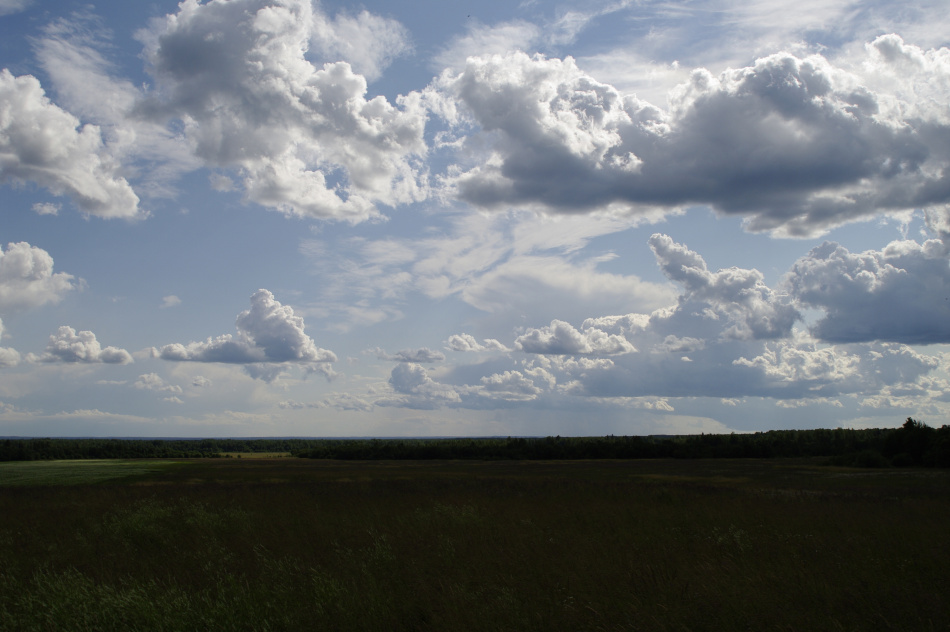 В Петербурге и Ленобласти изымают землю для скоростной магистрали