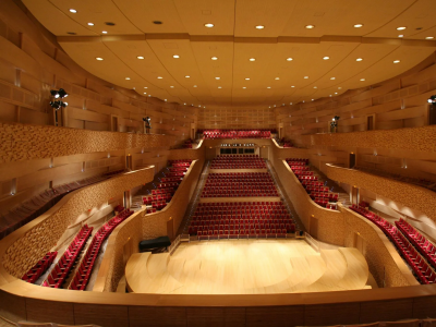 Фото Концерт Вечер романсов Чайковского