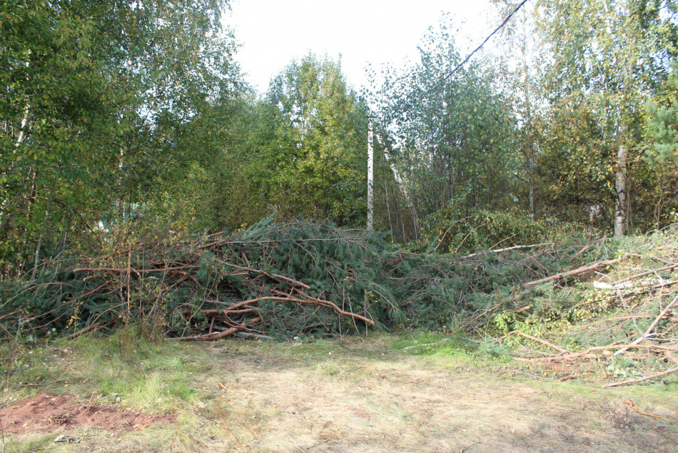 Восьмидневные поиски семьи из турпохода осложняются снегом и дикими зверями
