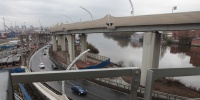 Баран на трассе ЗСД утром удивил водителей Петербурга