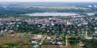 Дикие кабаны замечены в пригородах Петербурга и Ленобласти