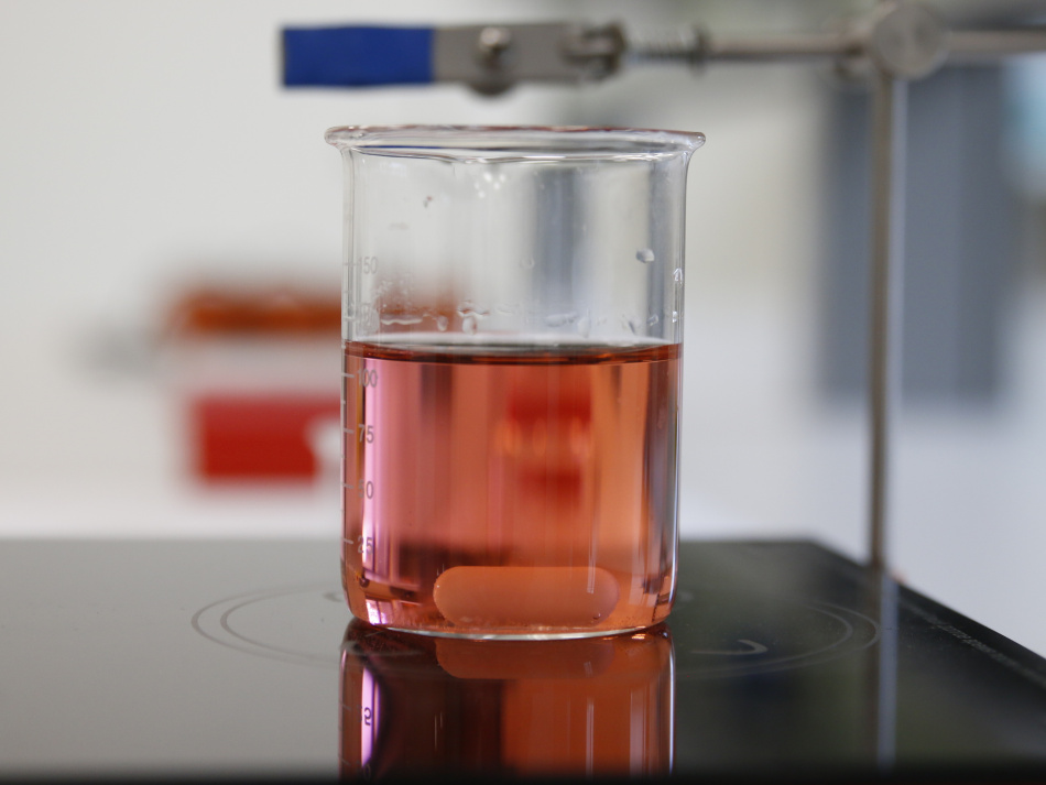 В Петербурге разработали камеру для экстремальных температур и давления