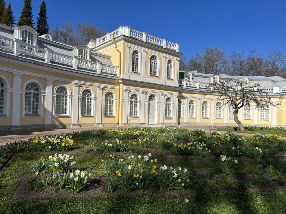 В Петергофе отмечают рост самостоятельных туристов и новые планы на сезон