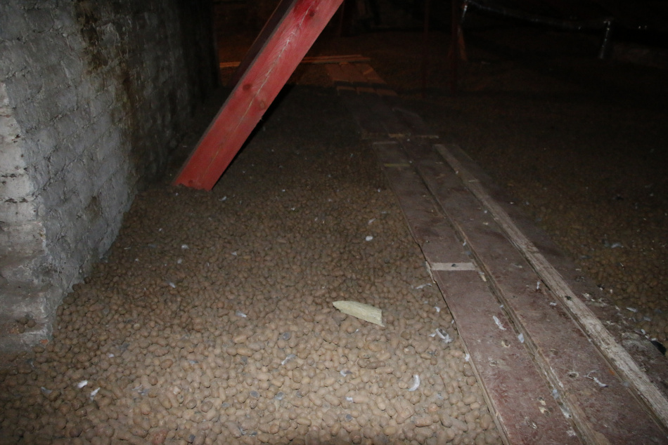 В элитном доме Петербурга затопило подвал канализационными стоками