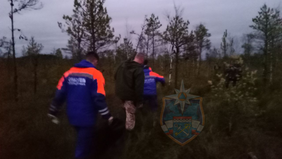 Тело пропавшего грибника нашли в Лужском районе