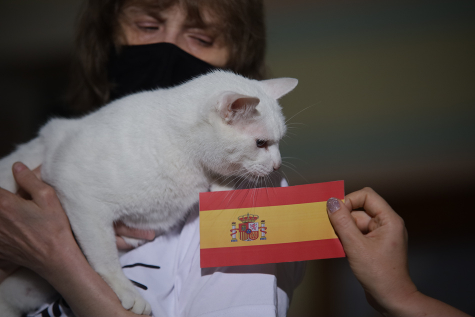 В Санкт-Петербурге изменились сроки оформления визы в Испанию