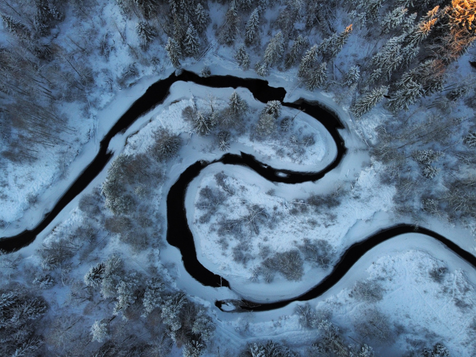 Семья Усольцевых исчезла в лесу: сын делится своей версией событий