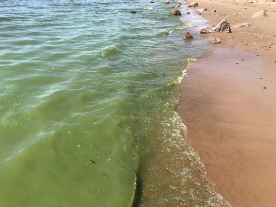 Уровень океана может изменить карту российских прибрежных городов