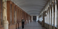 В Санкт-Петербурге соберутся студенческие отряды Северо-Запада России